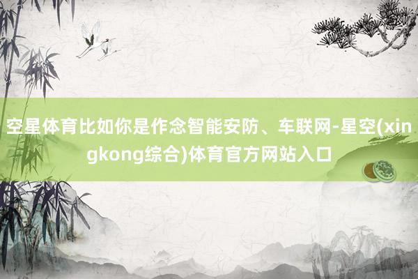 空星体育比如你是作念智能安防、车联网-星空(xingkong综合)体育官方网站入口