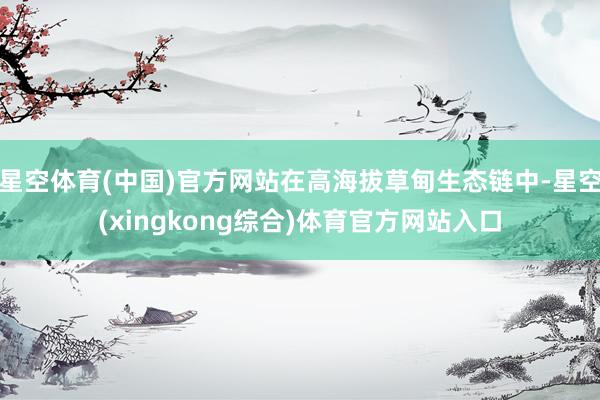 星空体育(中国)官方网站在高海拔草甸生态链中-星空(xingkong综合)体育官方网站入口