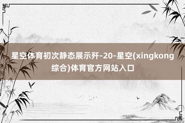 星空体育初次静态展示歼-20-星空(xingkong综合)体育官方网站入口