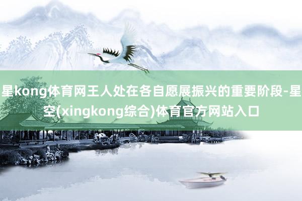 星kong体育网王人处在各自愿展振兴的重要阶段-星空(xingkong综合)体育官方网站入口