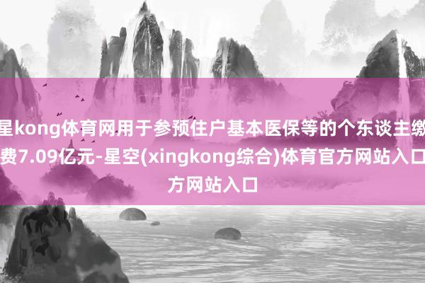 星kong体育网用于参预住户基本医保等的个东谈主缴费7.09亿元-星空(xingkong综合)体育官方网站入口