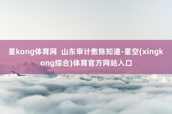 星kong体育网  山东审计敷陈知道-星空(xingkong综合)体育官方网站入口