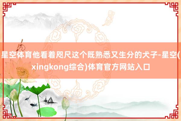 星空体育他看着咫尺这个既熟悉又生分的犬子-星空(xingkong综合)体育官方网站入口