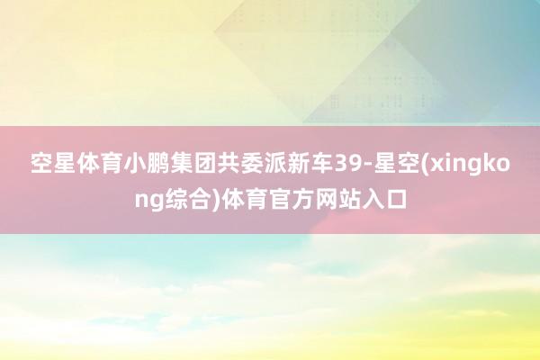 空星体育小鹏集团共委派新车39-星空(xingkong综合)体育官方网站入口